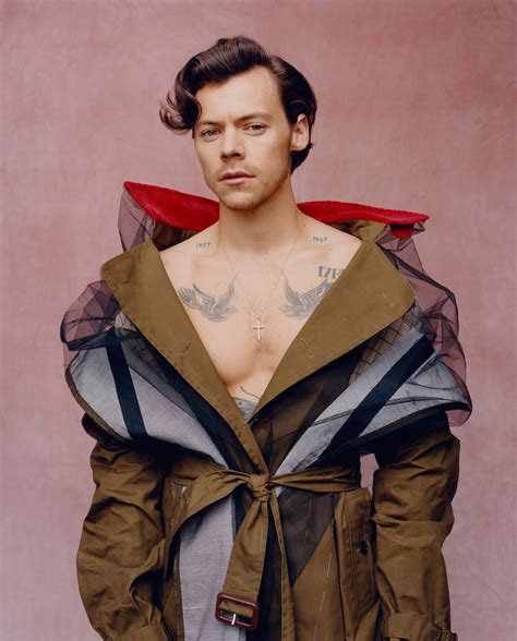 harry styles dick pic|Harry Styles Poses Nude for New Album Photos